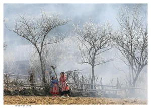 Discover the Timeless Charm of Bac Ha Plateau: A Journey Through Lao Cai’s Most Breathtaking Landscapes - image 4