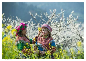 Discover the Timeless Charm of Bac Ha Plateau: A Journey Through Lao Cai’s Most Breathtaking Landscapes - image 3