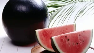 The Secrets Behind Japan's Luxury Densuke Watermelon Worth Thousands - image 8