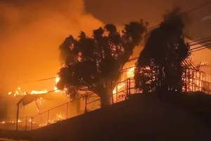 Los Angeles Landmarks: What Remains After the Devastating Wildfires - image 8