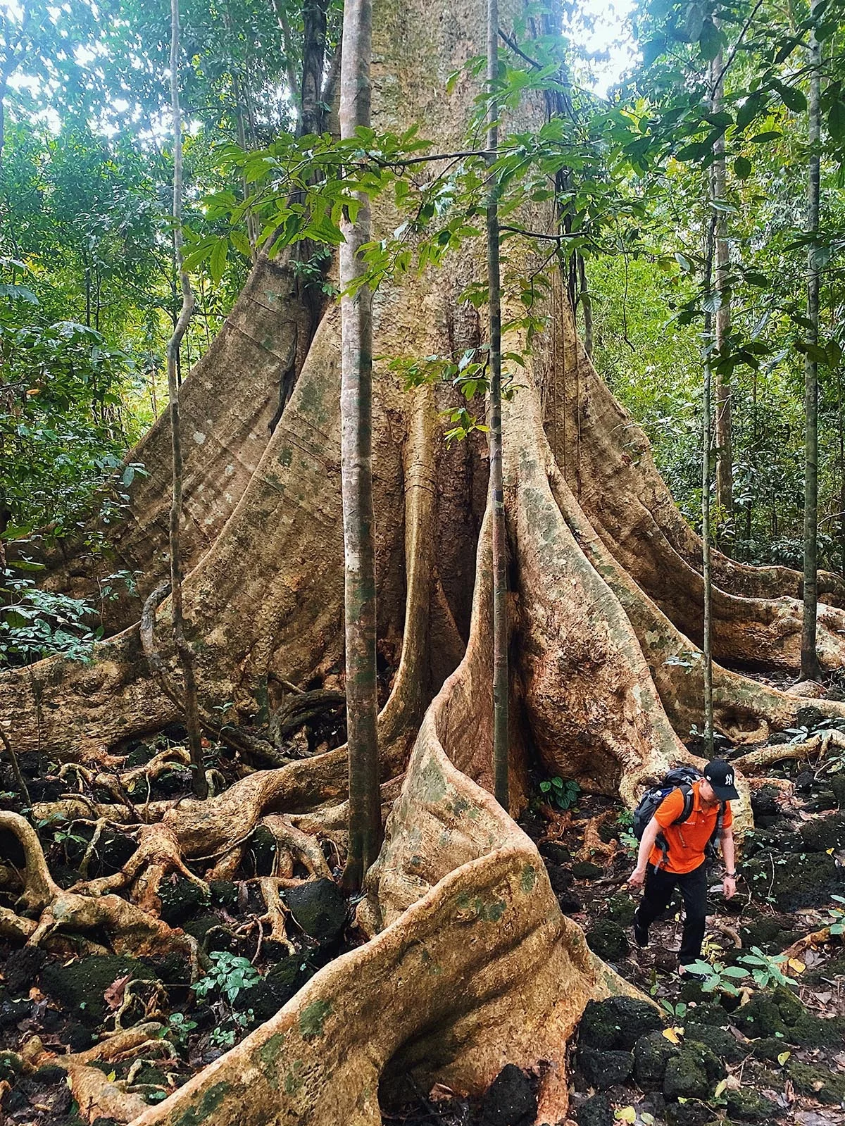 Dong Nai Travel Guide 2024: Top 11 Must-Visit Destinations for Nature Lovers