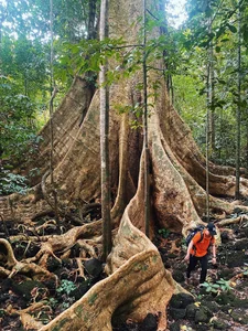 Dong Nai Travel Guide 2024: Top 11 Must-Visit Destinations for Nature Lovers - image 0