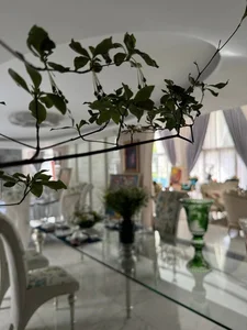 Inside the Palatial Villa of Miss Giang My: A Masterpiece of Luxury - image 9