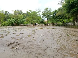 Severe Flooding and Mudslides Inundate Residential Homes in Da Nang - image 1
