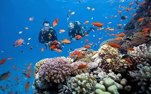 Discover the Pristine Maldives of Vietnam in Kien Giang Province - image 2