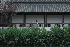 Timeless Beauty and Art: YiTuYu Art Language Vol.4391 Featuring Cheng Zi - image 4