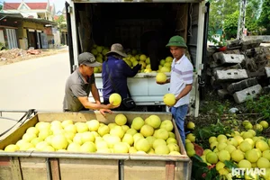 A Unique Marketplace: The Exclusive Fair Dedicated to 'The First Fruit' - image 1