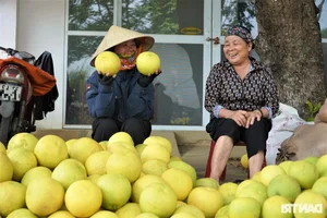 A Unique Marketplace: The Exclusive Fair Dedicated to 'The First Fruit' - image 9
