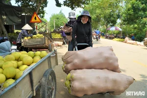 A Unique Marketplace: The Exclusive Fair Dedicated to 'The First Fruit' - image 0