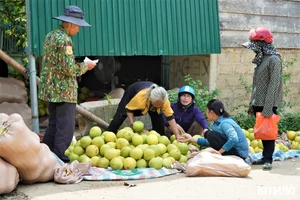 A Unique Marketplace: The Exclusive Fair Dedicated to 'The First Fruit' - image 3