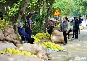 A Unique Marketplace: The Exclusive Fair Dedicated to 'The First Fruit' - image 5