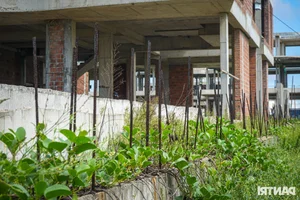 Abandoned Luxury: The Silent Concrete Skeletons of Da Nang’s Coastal Resorts - image 1