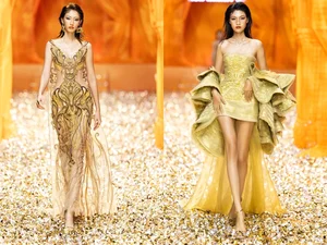 Bold and Beautiful: 5 Iconic Vedettes Redefining Runway Glamour in Sheer Gowns - image 5