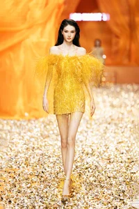 Bold and Beautiful: 5 Iconic Vedettes Redefining Runway Glamour in Sheer Gowns - image 14