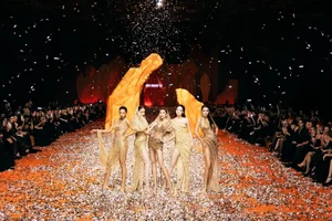 Bold and Beautiful: 5 Iconic Vedettes Redefining Runway Glamour in Sheer Gowns - image 8