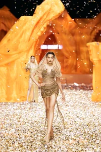 Bold and Beautiful: 5 Iconic Vedettes Redefining Runway Glamour in Sheer Gowns - image 7