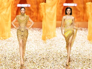 Bold and Beautiful: 5 Iconic Vedettes Redefining Runway Glamour in Sheer Gowns - image 12