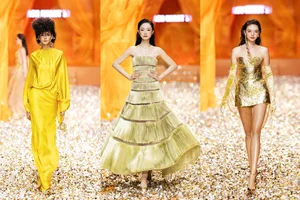 Bold and Beautiful: 5 Iconic Vedettes Redefining Runway Glamour in Sheer Gowns - image 2