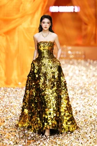 Bold and Beautiful: 5 Iconic Vedettes Redefining Runway Glamour in Sheer Gowns - image 0