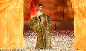 Bold and Beautiful: 5 Iconic Vedettes Redefining Runway Glamour in Sheer Gowns - image 1
