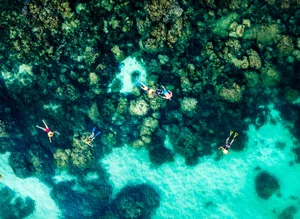 The Ultimate Phu Quoc Travel Guide 2024: Best Places to Stay, Eat, and Explore in Vietnam’s Paradise - image 12