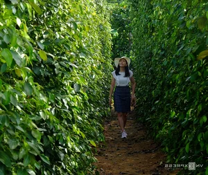 The Ultimate Phu Quoc Travel Guide 2024: Best Places to Stay, Eat, and Explore in Vietnam’s Paradise - image 7