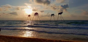 The Ultimate Phu Quoc Travel Guide 2024: Best Places to Stay, Eat, and Explore in Vietnam’s Paradise - image 1