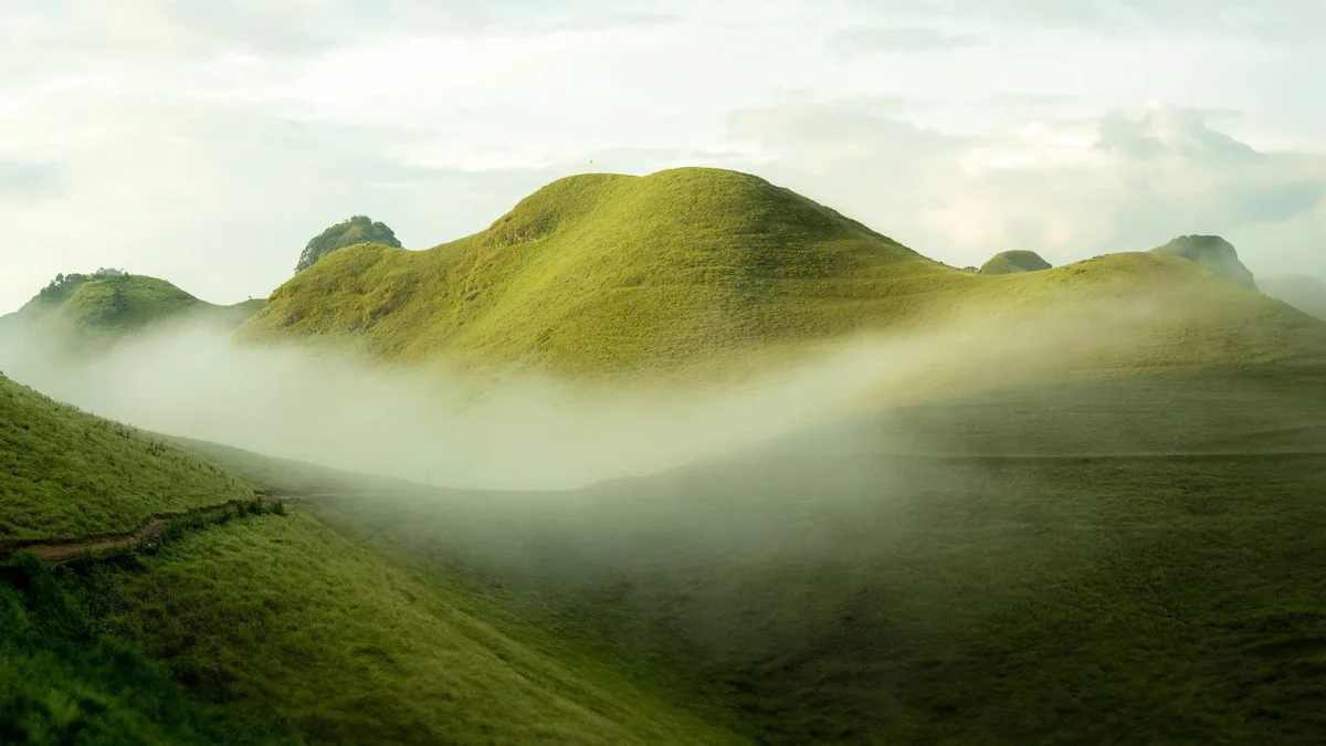 Ba Quang Grass Hills: A Viral Destination for Nature Lovers in Vietnam