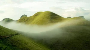Ba Quang Grass Hills: A Viral Destination for Nature Lovers in Vietnam - image 3
