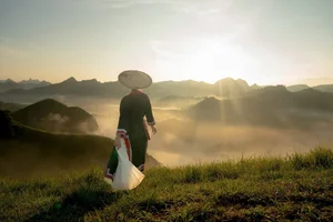 Ba Quang Grass Hills: A Viral Destination for Nature Lovers in Vietnam - image 9