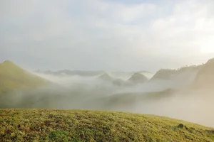 Ba Quang Grass Hills: A Viral Destination for Nature Lovers in Vietnam - image 2
