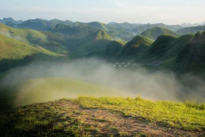 Ba Quang Grass Hills: A Viral Destination for Nature Lovers in Vietnam - image 1