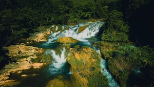 Ba Quang Grass Hills: A Viral Destination for Nature Lovers in Vietnam - image 4