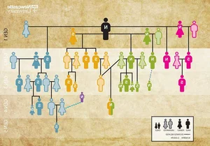 Ancient Discovery: The World's Oldest Family Tree Found in 1,000-Year-Old Tomb - image 9