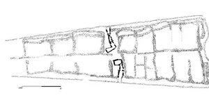 Ancient Discovery: The World's Oldest Family Tree Found in 1,000-Year-Old Tomb - image 0