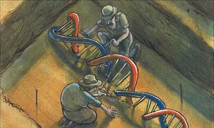 Ancient Discovery: The World's Oldest Family Tree Found in 1,000-Year-Old Tomb - image 10