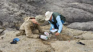 Ancient Discovery: The World's Oldest Family Tree Found in 1,000-Year-Old Tomb - image 5