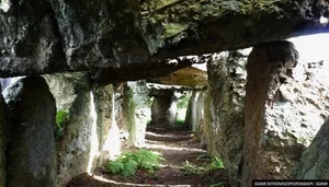 Ancient Discovery: The World's Oldest Family Tree Found in 1,000-Year-Old Tomb - image 7