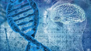 Ancient Discovery: The World's Oldest Family Tree Found in 1,000-Year-Old Tomb - image 11