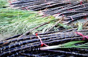 Top 7 Delicious Specialties from Hoa Binh Province Perfect for Gifts - image 1