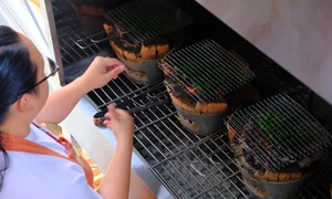 Authentic Vietnamese Cooking Classes: Learning Banh Xeo and Bo La Lot in Saigon - image 3