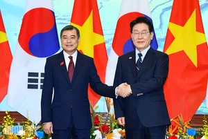 Prime Minister Le Minh Hung Holds Diplomatic Meeting with South Korean President - image 4