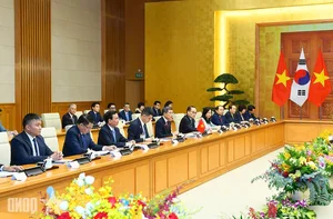 Prime Minister Le Minh Hung Holds Diplomatic Meeting with South Korean President - image 5