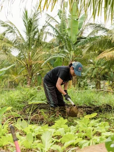 Leaving the City for the Garden: A Personal Journey to Slow Living and Clean Food - image 5