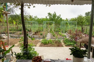Leaving the City for the Garden: A Personal Journey to Slow Living and Clean Food - image 12