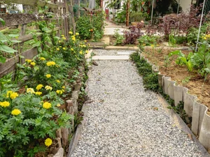 Leaving the City for the Garden: A Personal Journey to Slow Living and Clean Food - image 2
