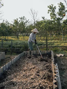 Leaving the City for the Garden: A Personal Journey to Slow Living and Clean Food - image 8