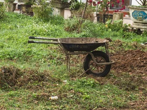 Leaving the City for the Garden: A Personal Journey to Slow Living and Clean Food - image 13