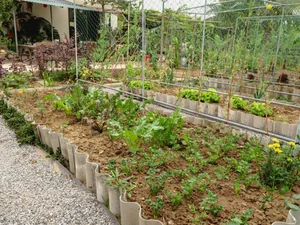 Leaving the City for the Garden: A Personal Journey to Slow Living and Clean Food - image 14