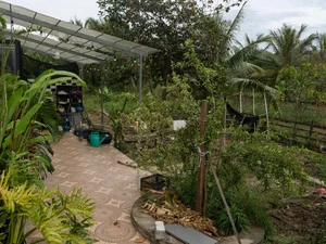 Leaving the City for the Garden: A Personal Journey to Slow Living and Clean Food - image 7